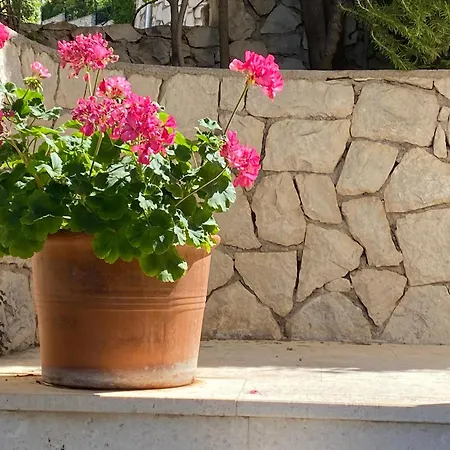 Eden Adults Only בית הארחה 3*