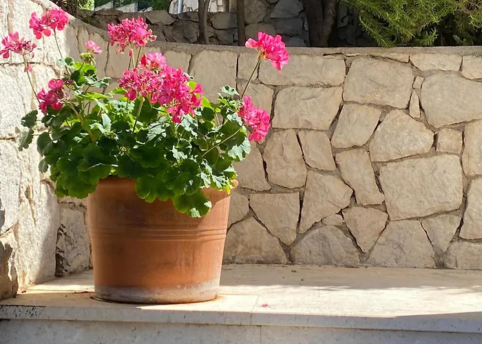 Eden Adults Only בית הארחה 3*