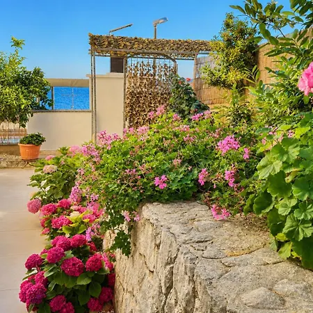 Eden Adults Only 3* Trogir